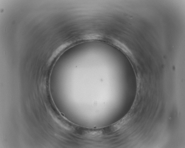 X0000069410155200605192312