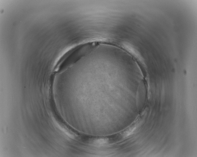 X0000069410156200605192312