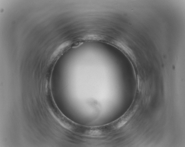 X0000069410157200605192312