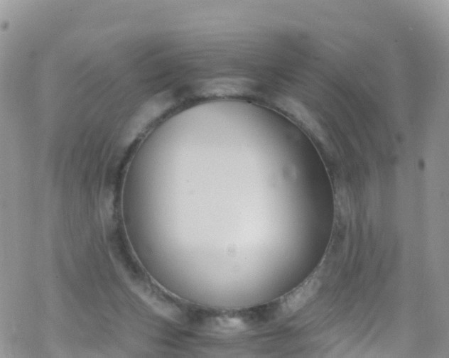 X0000069410159200605192313