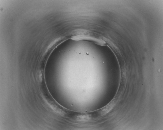 X0000069410160200605192313