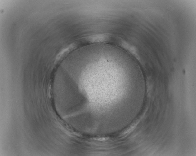 X0000069410161200605192313