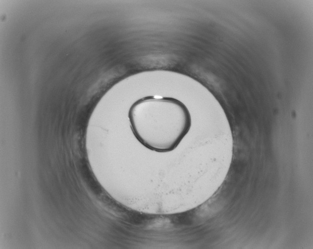 X0000069410162200605192313