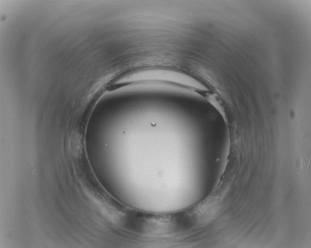 X0000069410164200605192313