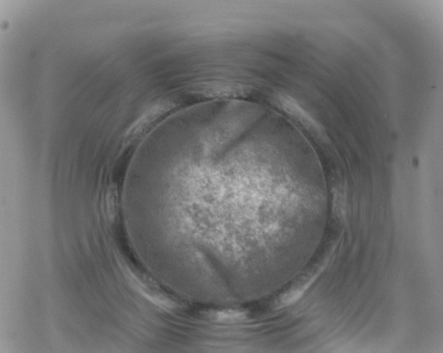 X0000069410165200605192313