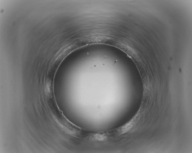 X0000069410166200605192313