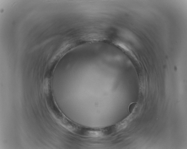 X0000069410167200605192313