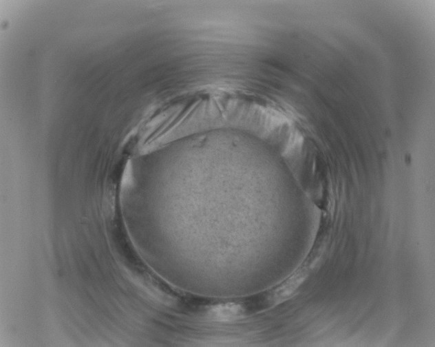 X0000069410168200605192313