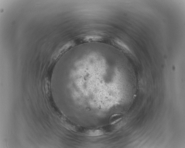 X0000069410169200605192313