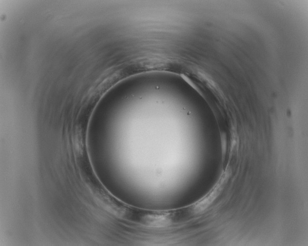 X0000069410170200605192313