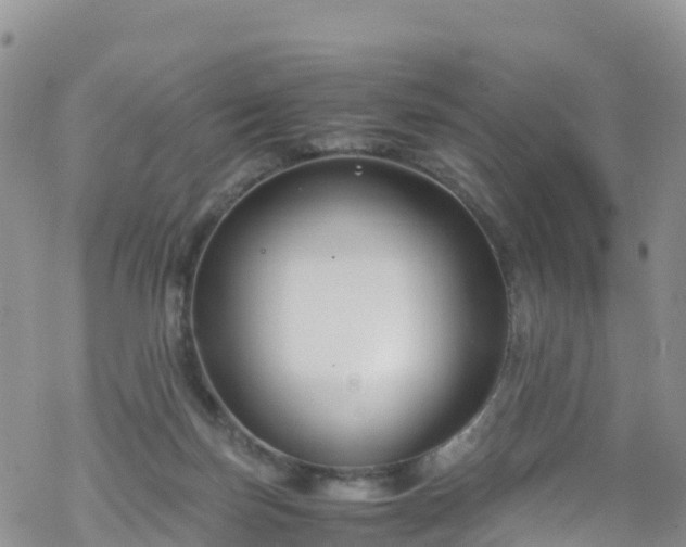 X0000069410171200605192313