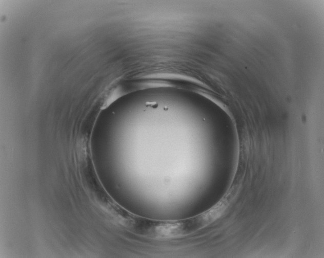 X0000069410172200605192313