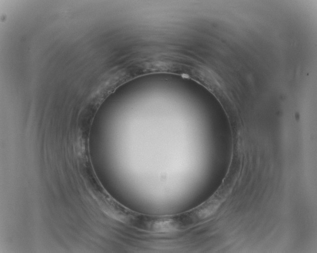 X0000069410173200605192313