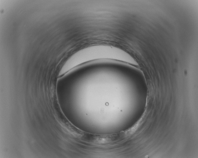 X0000069410174200605192313