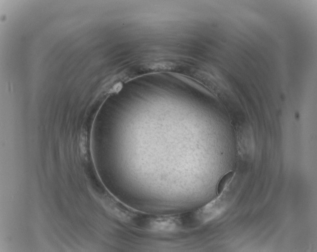 X0000069410175200605192313