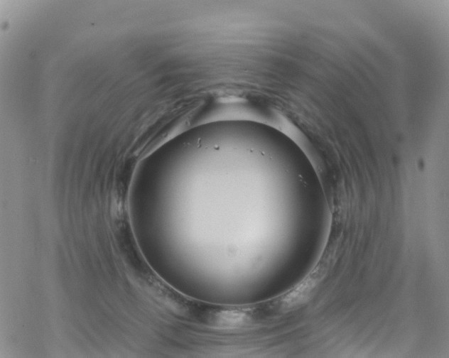 X0000069410176200605192313