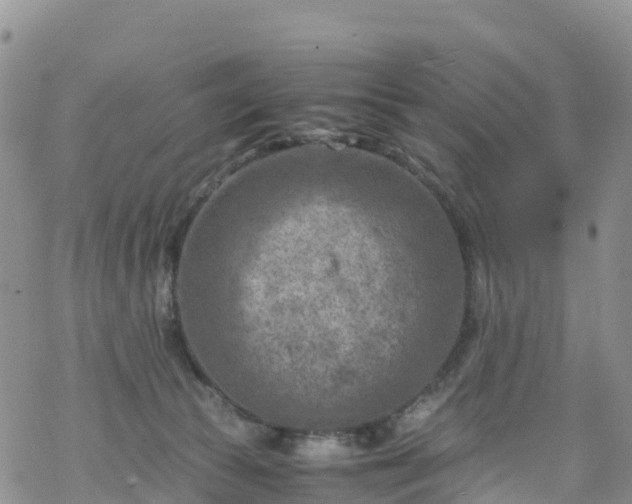 X0000069410177200605192313