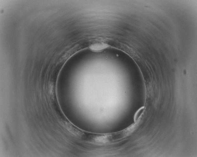 X0000069410178200605192313