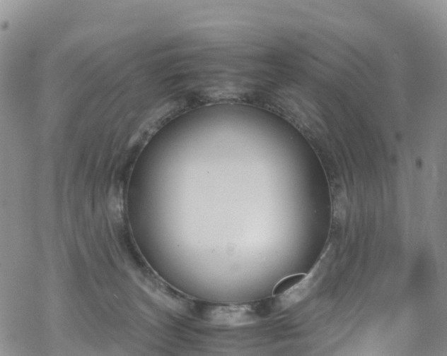 X0000069410179200605192313