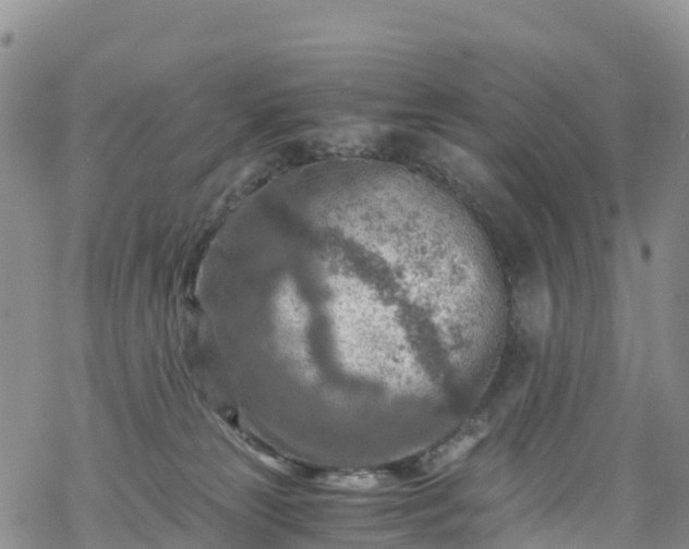 X0000069410181200605192313