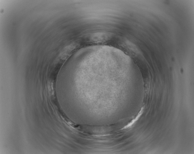 X0000069410182200605192313