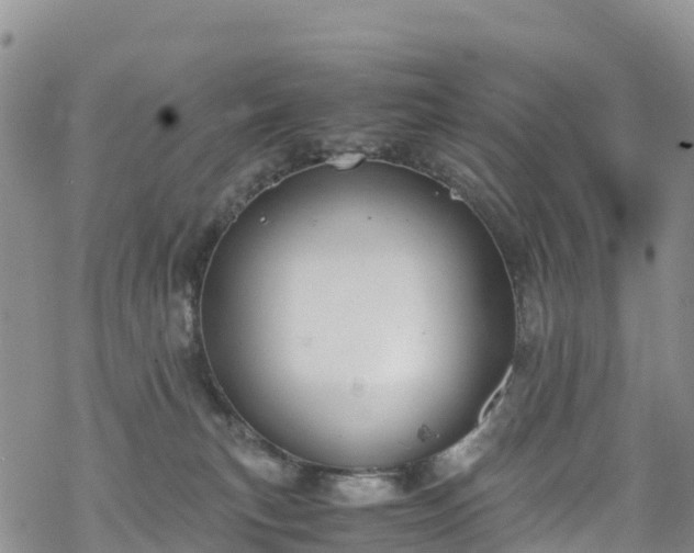 X0000069410183200605192313