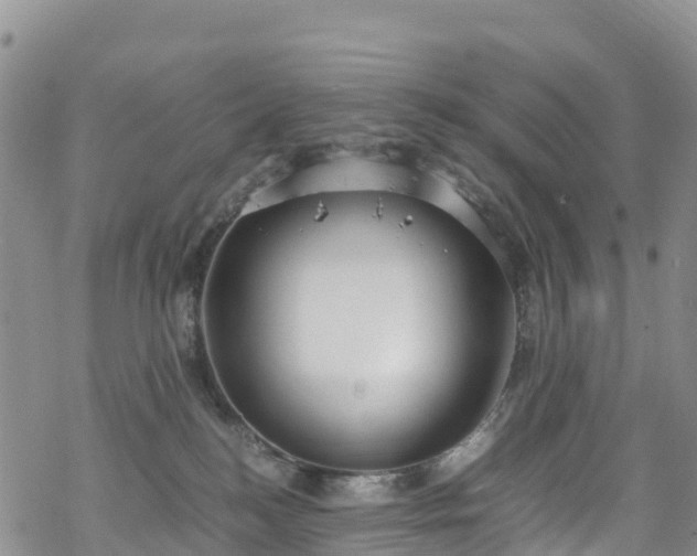 X0000069410184200605192313