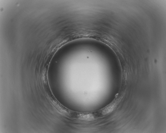 X0000069410185200605192313