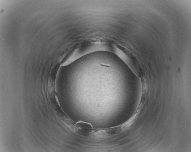 X0000069410186200605192313