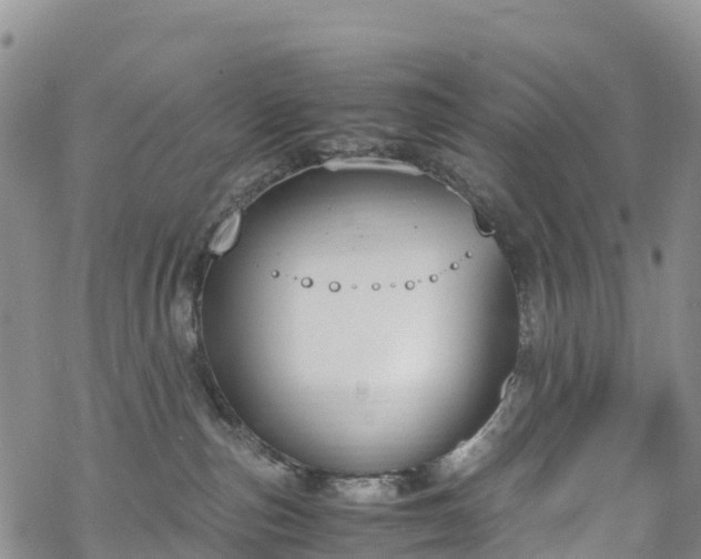 X0000069410187200605192313