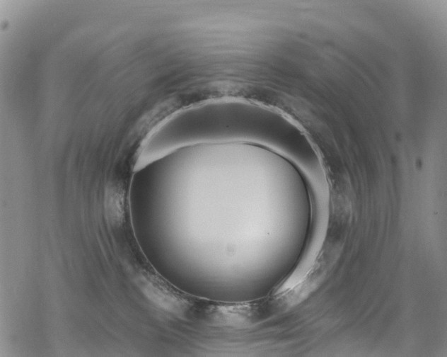 X0000069410188200605192313