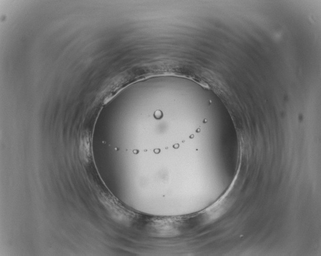 X0000069410190200605192313