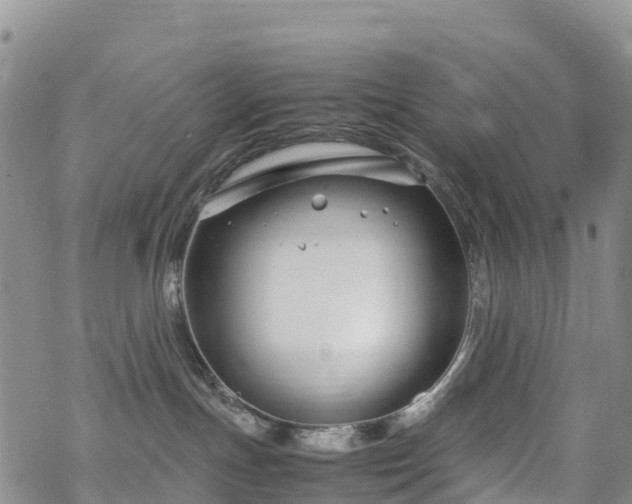 X0000069410191200605192313