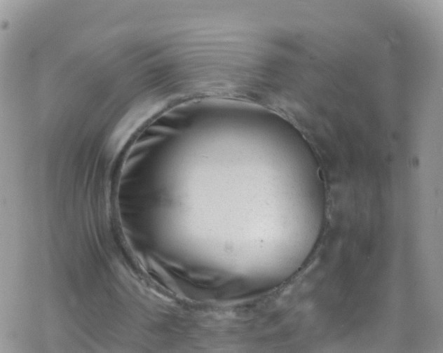 X0000069410194200605192312