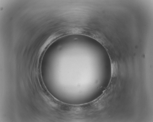 X0000069410195200605192312