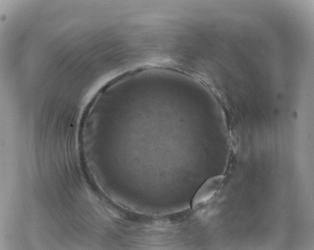 X0000069410196200605192312