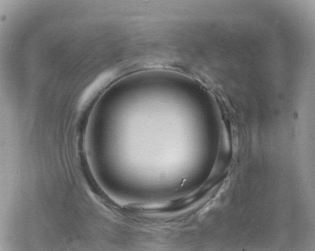 X0000069410197200605192312