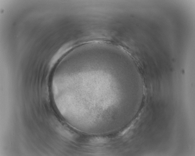 X0000069410198200605192312