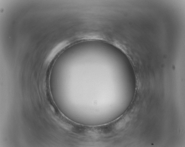 X0000069410199200605192312