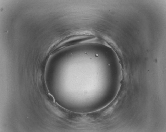 X0000069410201200605192312