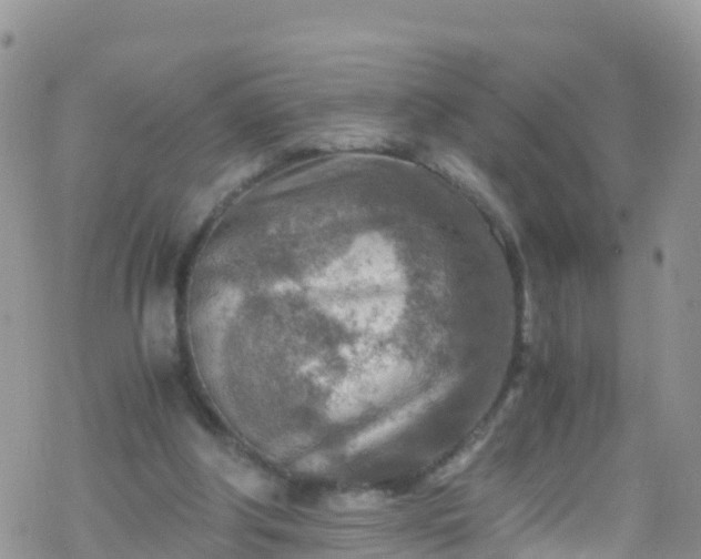 X0000069410202200605192312