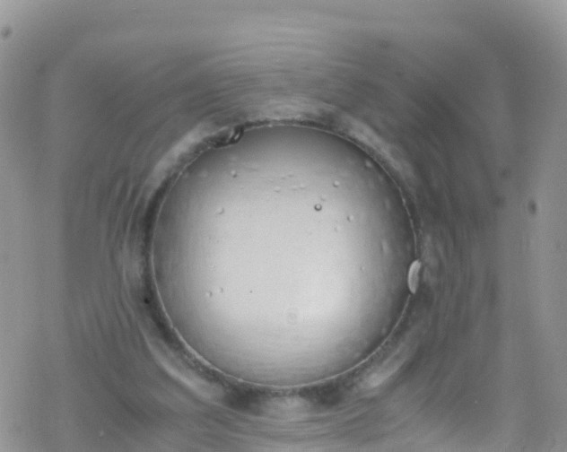 X0000069410203200605192312