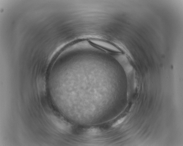 X0000069410204200605192312