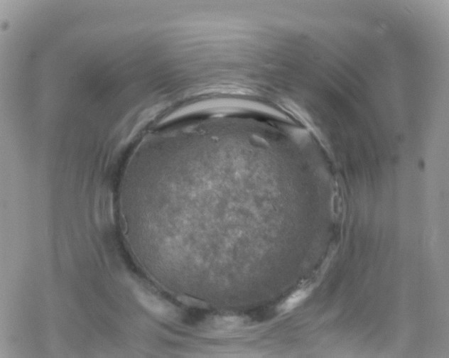 X0000069410205200605192312