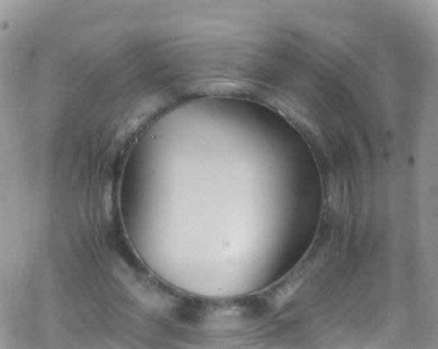 X0000069410206200605192312