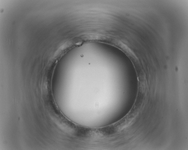 X0000069410207200605192312