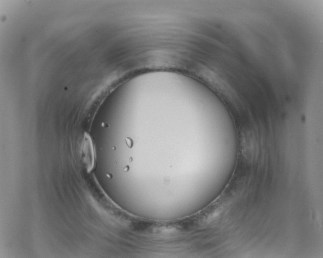 X0000069410208200605192312