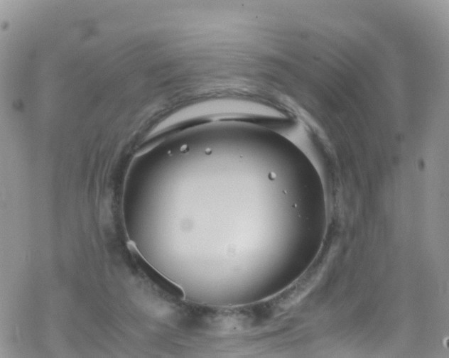 X0000069410209200605192312