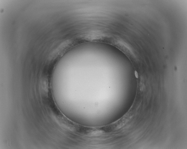 X0000069410210200605192312