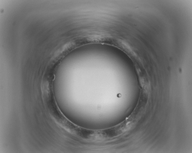 X0000069410211200605192312